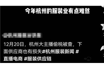 爆料！帶貨一姐薇婭涼了，紡服市場(chǎng)連鎖反應(yīng)，中小企業(yè)處境或?qū)⒏永щy